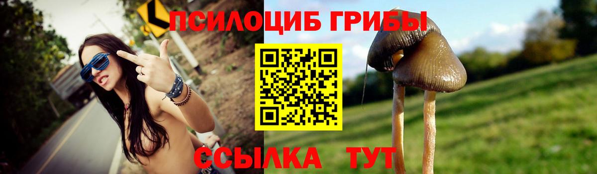 Истра  Псилоцибиновые грибы мухоморы  Псилоцибиновые грибы Cubensis  Вход с VPN 
